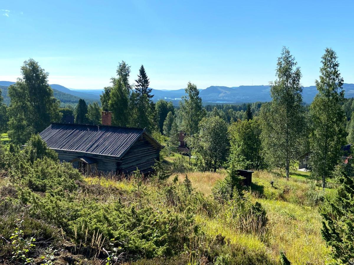 Beautiful 4-5 Persons Cottage In Alvdalen Blyberg Εξωτερικό φωτογραφία
